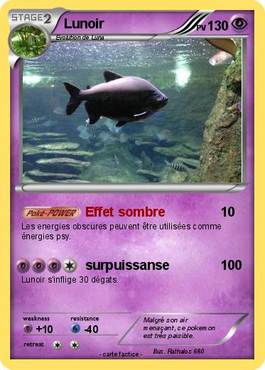 Pokemon Lunoir
