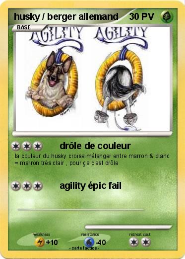 Pokemon husky / berger allemand
