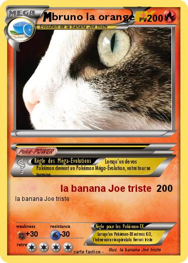 Pokemon bruno la orange