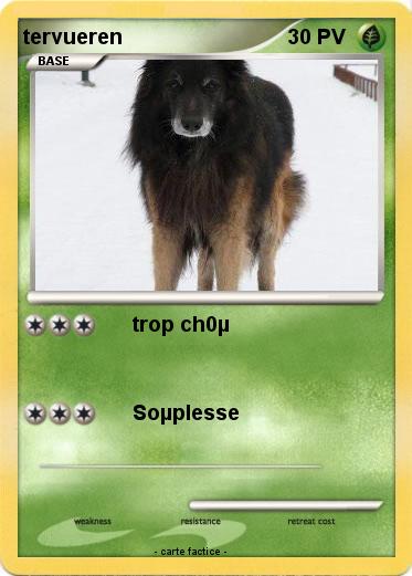 Pokemon tervueren