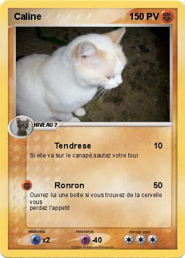 Pokemon Caline