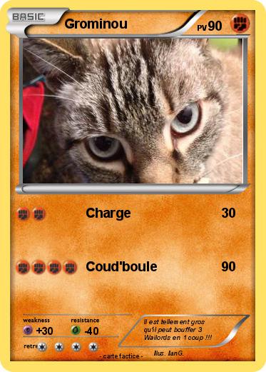 Pokemon Grominou