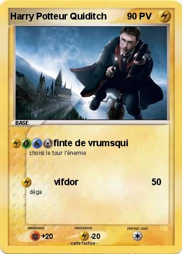 Pokemon Harry Potteur Quiditch