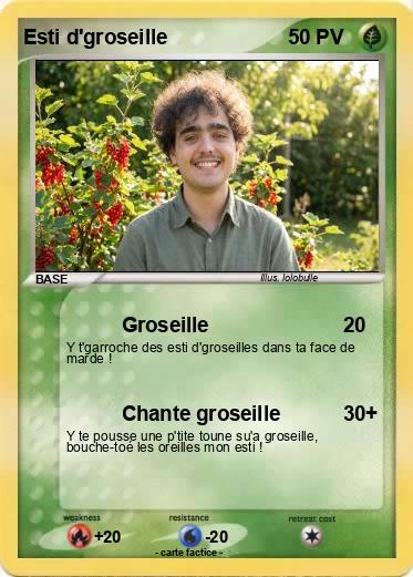 Pokemon Esti d'groseille