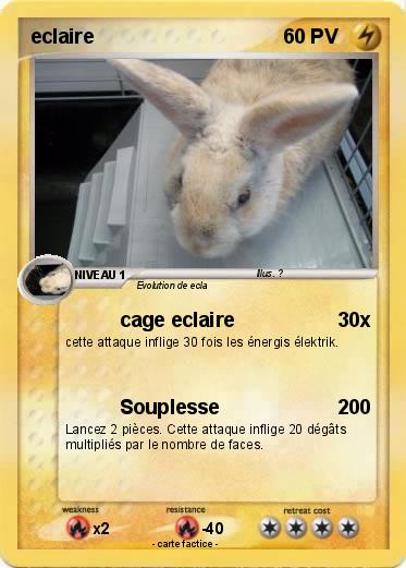 Pokemon eclaire