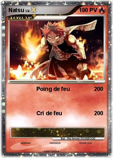 Pokemon Natsu