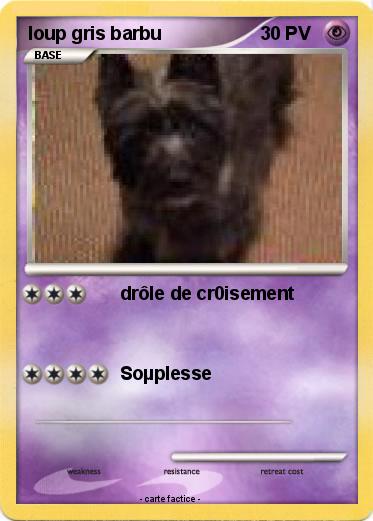 Pokemon loup gris barbu