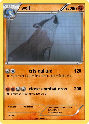 Pokemon wolf