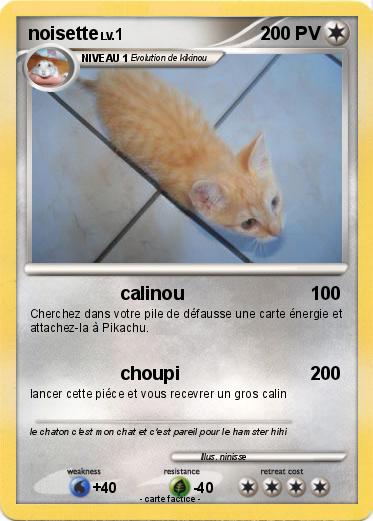 Pokemon noisette