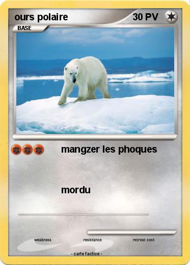 Pokemon ours polaire
