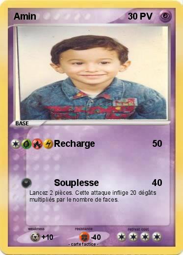 Pokemon Amin