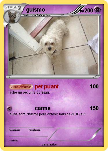 Pokemon guismo