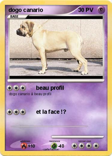 Pokemon dogo canario