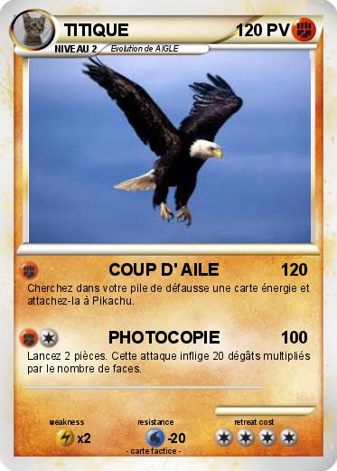 Pokemon TITIQUE