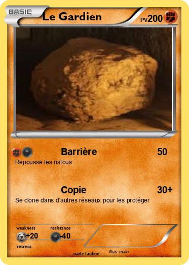 Pokemon Le Gardien
