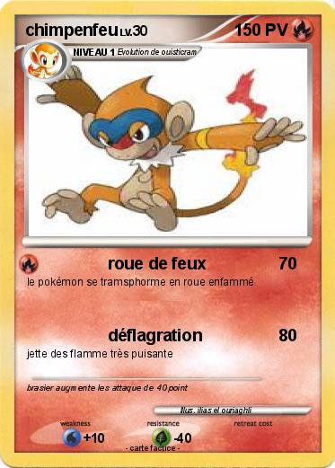 Pokemon chimpenfeu