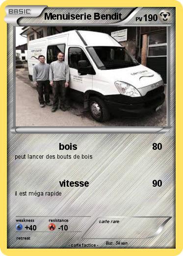 Pokemon Menuiserie Bendit