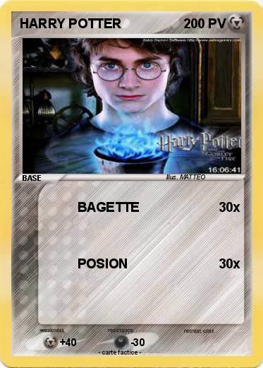 Pokemon HARRY POTTER