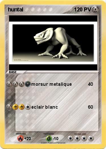 Pokemon huntal