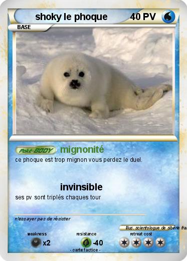 Pokemon shoky le phoque