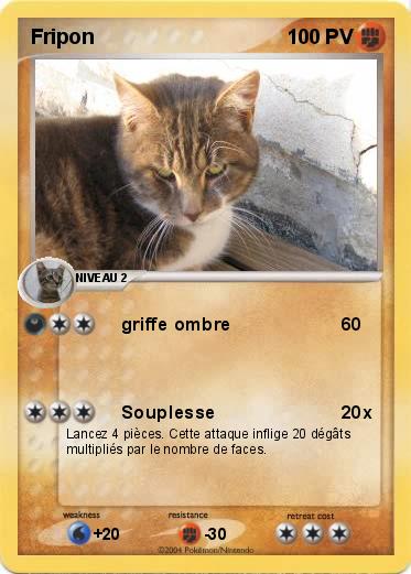 Pokemon Fripon