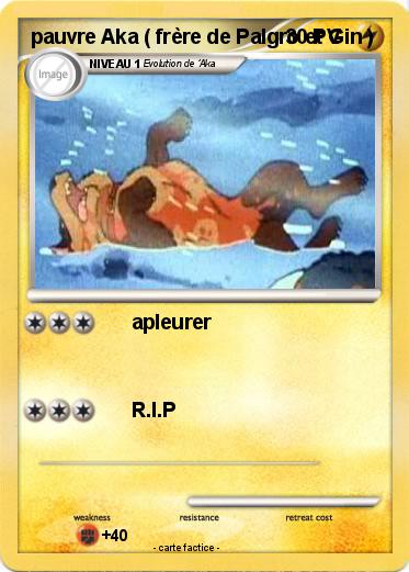 Pokemon pauvre Aka ( frère de Palgro et Gin )