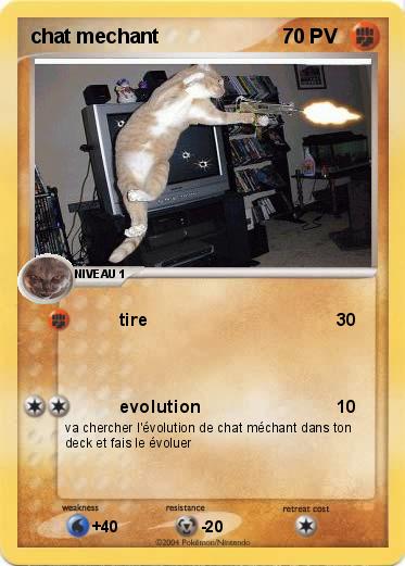 Pokemon chat mechant