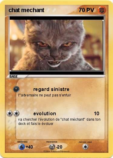 Pokemon chat mechant