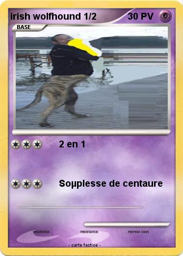 Pokemon irish wolfhound 1/2