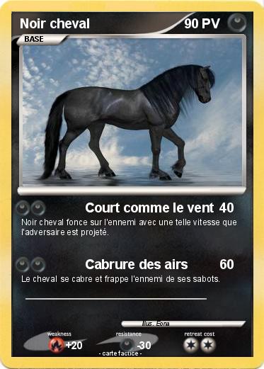 Pokemon Noir cheval