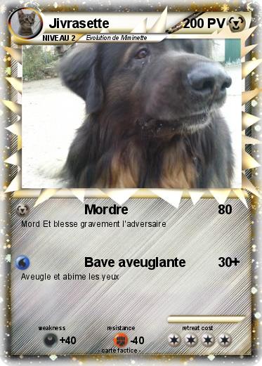 Pokemon Jivrasette