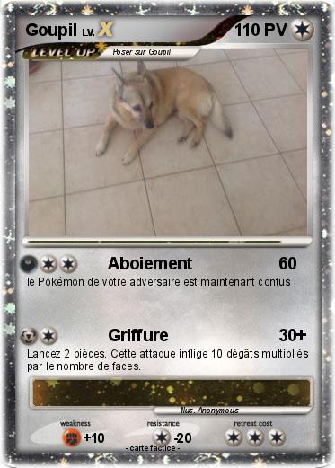 Pokemon Goupil