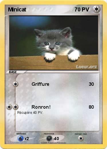 Pokemon Minicat