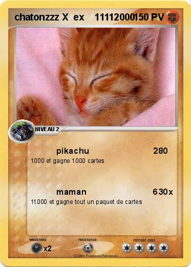 Pokemon chatonzzz X  ex    11112000