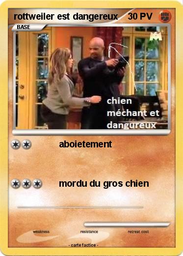 Pokemon rottweiler est dangereux