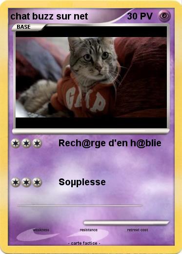 Pokemon chat buzz sur net