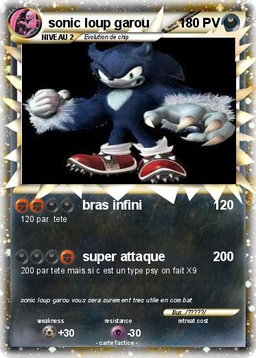 Pokemon sonic loup garou