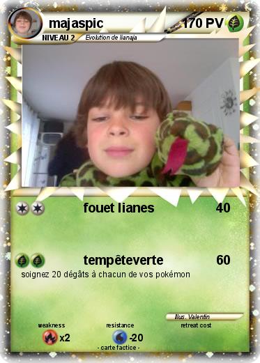 Pokemon majaspic