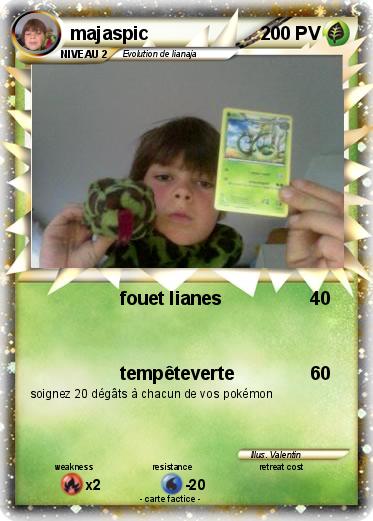 Pokemon majaspic