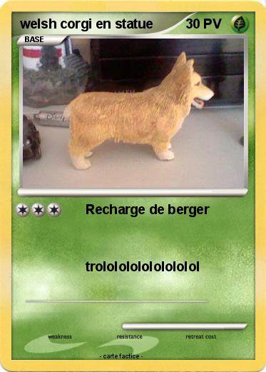 Pokemon welsh corgi en statue