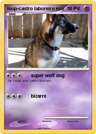Pokemon loup-castro laboreiro mix
