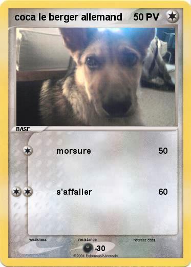 Pokemon coca le berger allemand