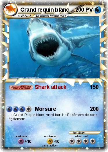 Pokemon Grand requin blanc