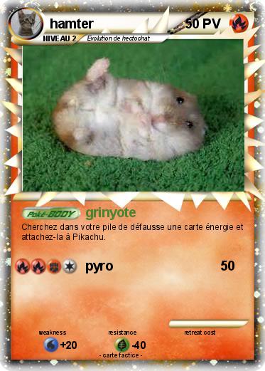 Pokemon hamter