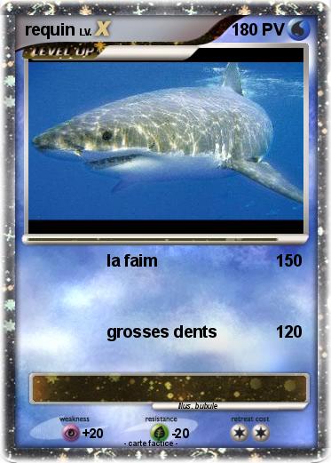 Pokemon requin