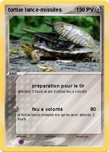 Pokemon tortue lance-missiles