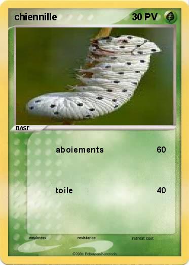 Pokemon chiennille 