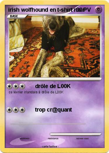 Pokemon irish wolfhound en t-shirt noir