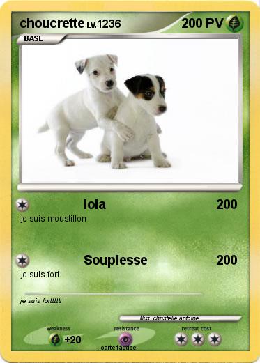 Pokemon choucrette