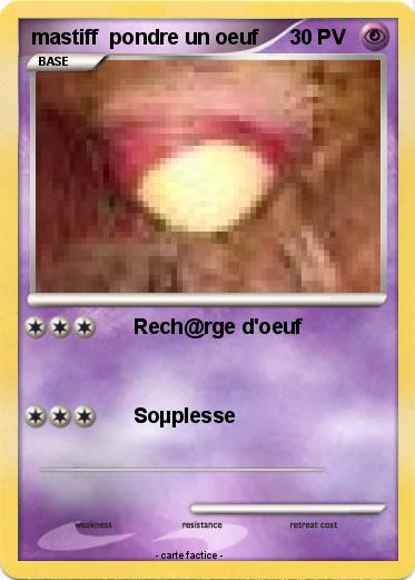 Pokemon mastiff  pondre un oeuf